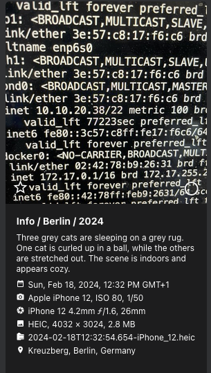 PhotoPrism showing a photo of terminal output, captioned as three grey cats sleeping on a rug