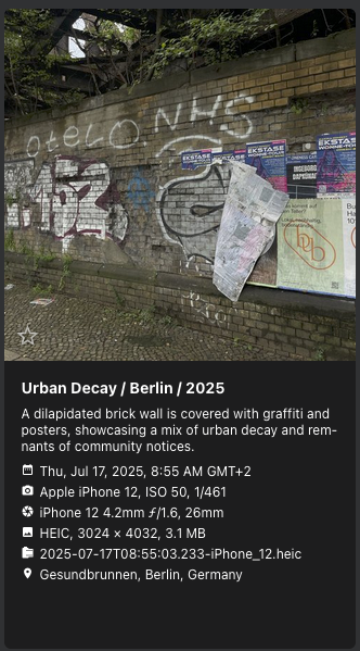 PhotoPrism showing a brick wall with graffiti and torn posters, with a fitting caption