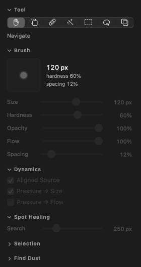 Healing’s tool panel: tools, brush settings, dynamics and spot healing