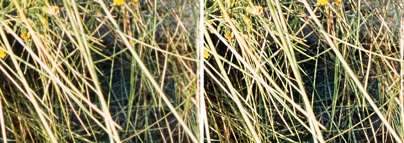 Two crops of grass blades, before and after sharpening