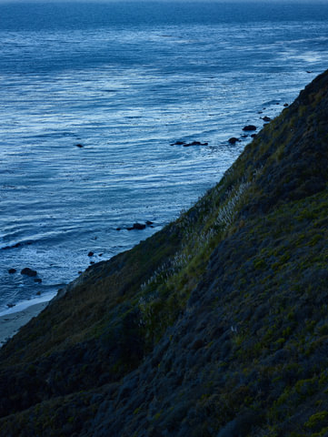 Coast