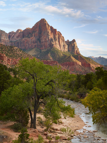 The Watchman